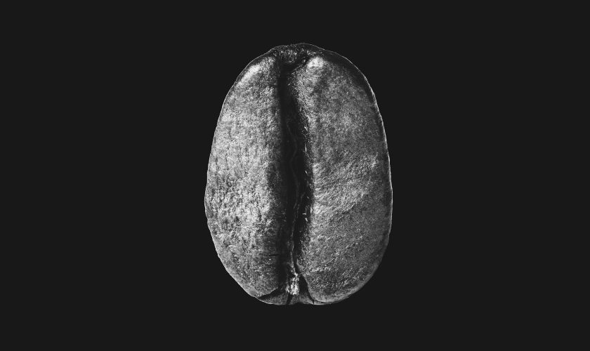 Manto di Monaco Cottura Chicco